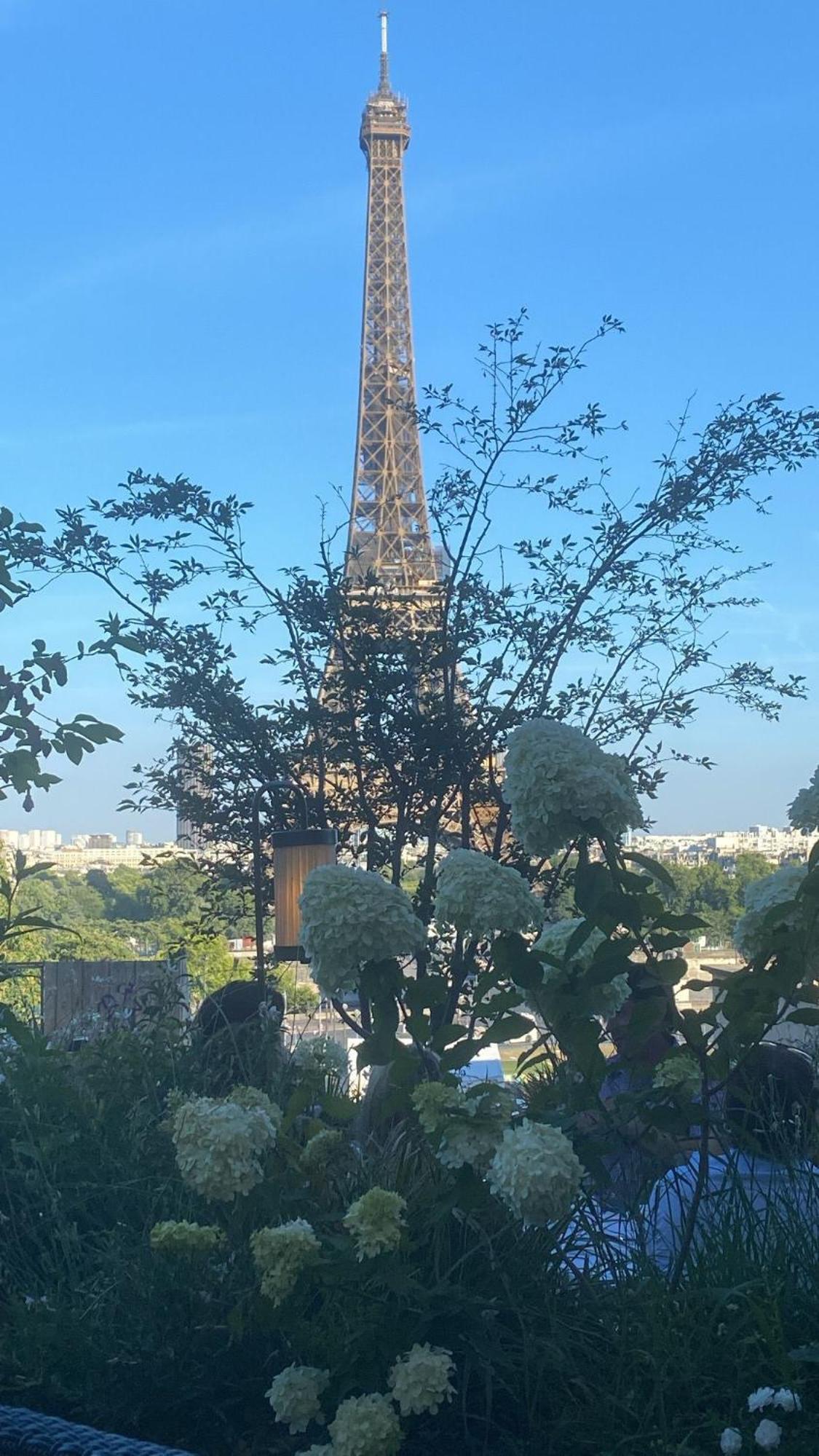 Elegant Luxury Private By Eiffel Tower Apartment